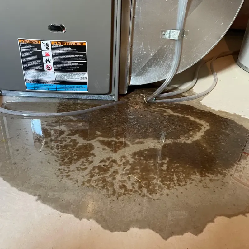 Appliance Leak Cleanup in Red Bank, TN